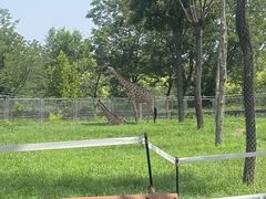 -石家庄市动物园