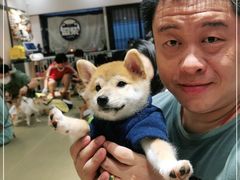 -逗柴咖啡屋·狗咖猫咖宠物桌游