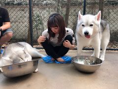 -TrueLove @ Neverland (Husky Cafe)