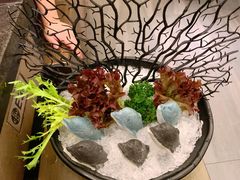 海豚丸-湊湊火锅·茶憩(打浦桥日月光店)