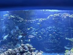 -欢乐海岸海洋奇梦馆