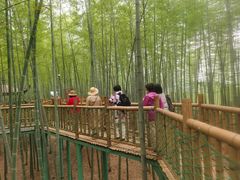 -陶祖圣境风景区