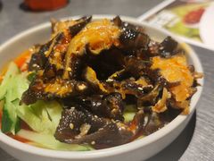 -龙巢盱眙龙虾·牛蛙·烧烤宵夜(八卦岭店)