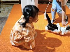 -杭州开元森泊度假乐园