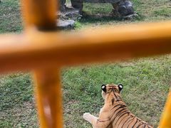 -上海野生动物园