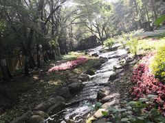 -黑龙江省森林植物园