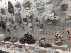 -浙江自然博物院(杭州馆)