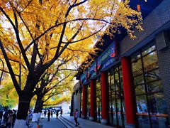 -四川大学(华西校区)