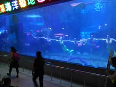 -蓬莱欧乐堡海洋极地世界