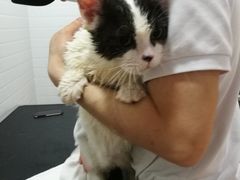 -Pets First伊珊娜洗护·精致美容·家庭式寄养(新会路店)