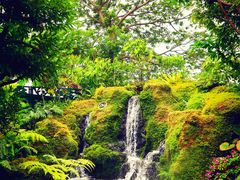 -Chom Cafe and Restaurant