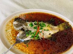 清蒸龙胆鱼-明香海鲜酒家(华强北店)