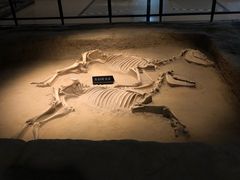 -洛阳周王城天子驾六博物馆