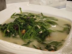 -陶缘一号·四季缘·老字号顺德菜·户外婚礼家宴(西滘店)