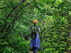 -阳台山自然风景区