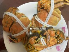 -黄记大闸蟹专卖店·活蟹·醉蟹