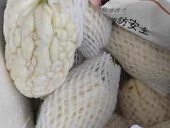 -岳各庄批发市场(西四环中路店)