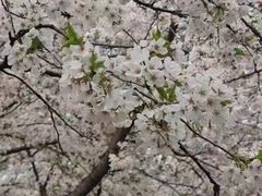 -堤角公园