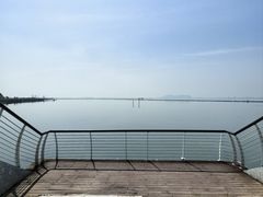 -贡湖湾湿地公园