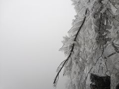 -崀山风景名胜区