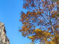 -香炉山国家森林公园