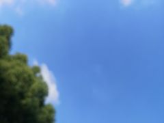 -福照楼汽锅鸡·云南菜(护国路店)