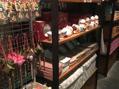 -猫咪博物馆(顶澳仔猫街店)