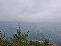 -广东惠东海龟国家级自然保护区