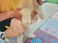 -MOJO密室逃脱(中街旗舰店)