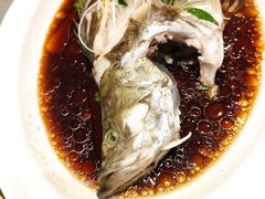 清蒸鲈鱼-南来顺饭庄·清真(南菜园店)