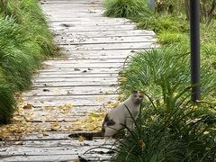 -钱江新城