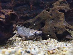 -上海海洋水族馆