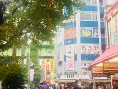 -秋叶原电器街
