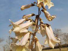 -汉长安城未央宫国家考古遗址公园