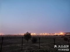 -东郊湿地公园