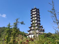 -大围山国家森林公园