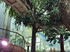 -正佳雨林生态植物园