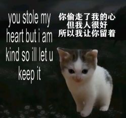 -明天见·化妆造型工作室