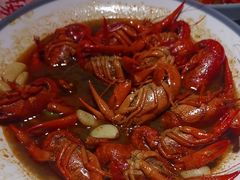 -杨氏青龙虾·羊蝎子(金盛路总店)
