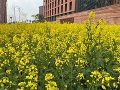 -晓风书屋(浙大紫金港店)