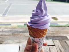 -富田农场