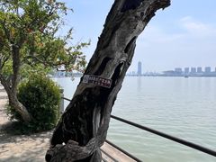 -无锡蠡湖国家湿地公园-蠡园