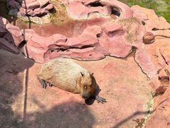 -长鹿旅游休博园