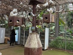 -呀路古热带植物园