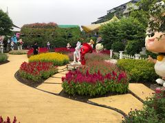 -百万葵园