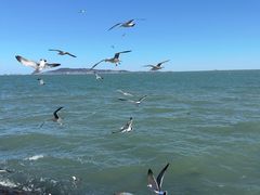 -悦海公园