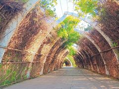 -天津东丽湖风景区