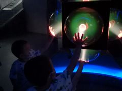 -陕西自然博物馆