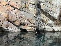 -上海海洋水族馆