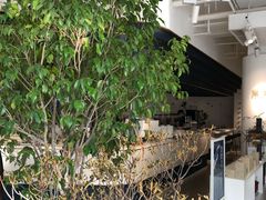 -张一元茶庄(望京店)